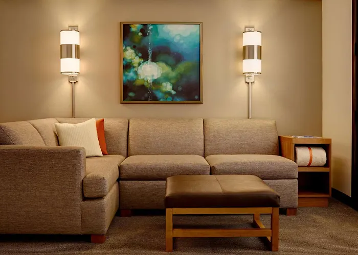 Cheap hotel: Hyatt Place Atlanta Downtown
